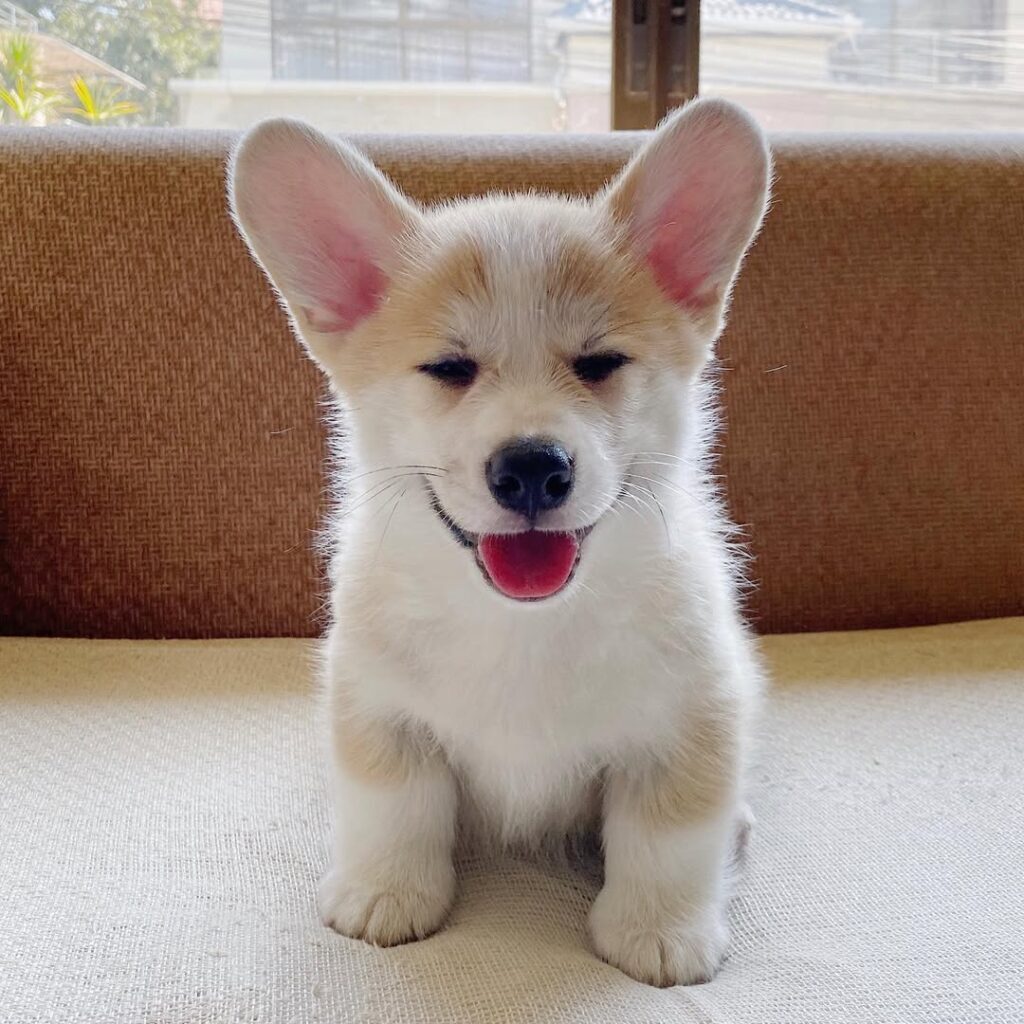 Otis,